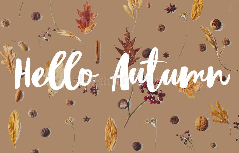 Hello Autumn text on fall leaves, berries, acorns, walnuts, cinnamon and anise on awkwardly painted brown background. Creative modern Autumnal greeting card, flat lay. Welcome Fall. Hello Autumn text on fall leaves, berries, acorns, walnuts, cinnamon and anise on awkwardly painted brown background. Creative modern Autumnal greeting card, flat lay. Welcome Fall