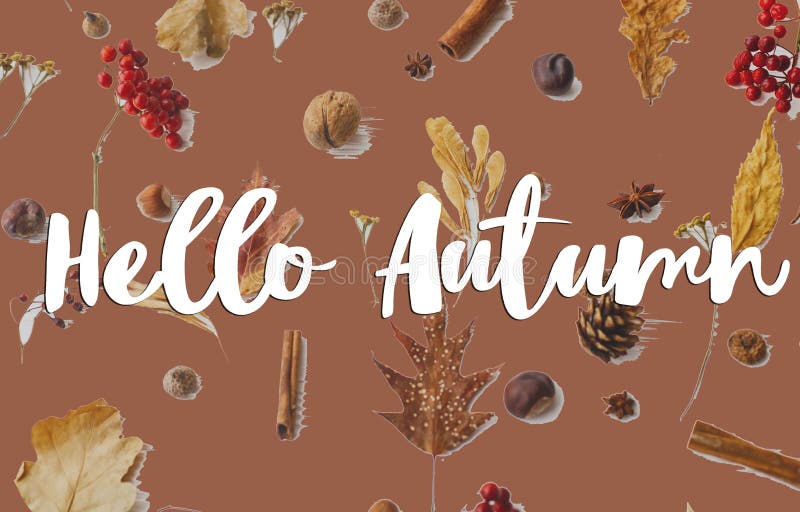 Hello Autumn text on fall leaves, berries, acorns, walnuts, cinnamon and anise on awkwardly painted brown background. Creative modern Autumnal greeting card, flat lay. Welcome Fall. Hello Autumn text on fall leaves, berries, acorns, walnuts, cinnamon and anise on awkwardly painted brown background. Creative modern Autumnal greeting card, flat lay. Welcome Fall
