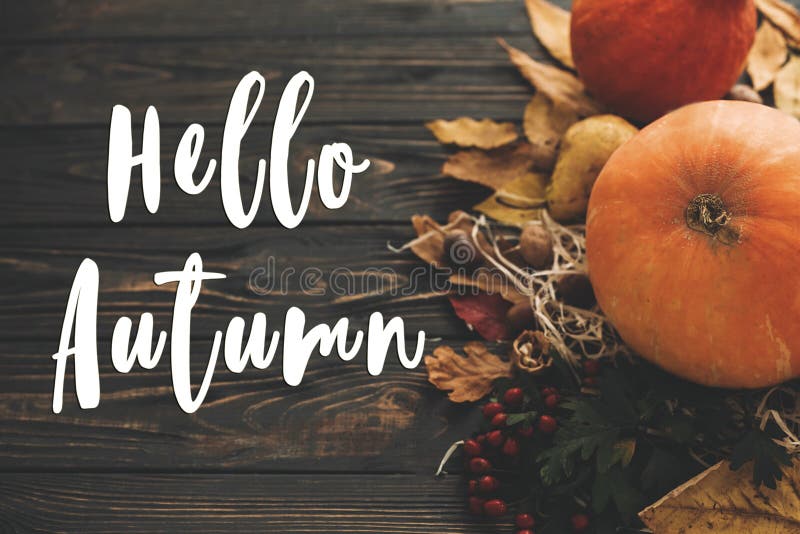 Hello Autumn Text. Hello Fall sign on pumpkin, autumn vegetables stock photos Hello Autumn Text. Hello Fall sign on pumpkin, autumn vegetables stock photos
