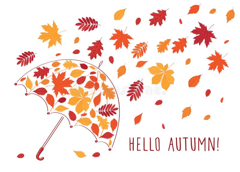 Hello Autumn! Umbrella and Autumn Leaves. Stock Vector - Illustration of  doodle, poster: 120798021