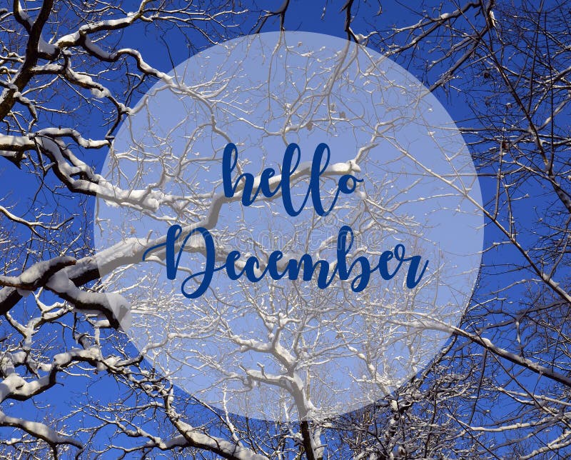 Hello december Sneeuwbomen in het de winterbos tegen blauwe hemel Wintertijdconcept stock afbeelding Hello december Sneeuwbomen in het de winterbos tegen blauwe hemel Wintertijdconcept stock afbeelding