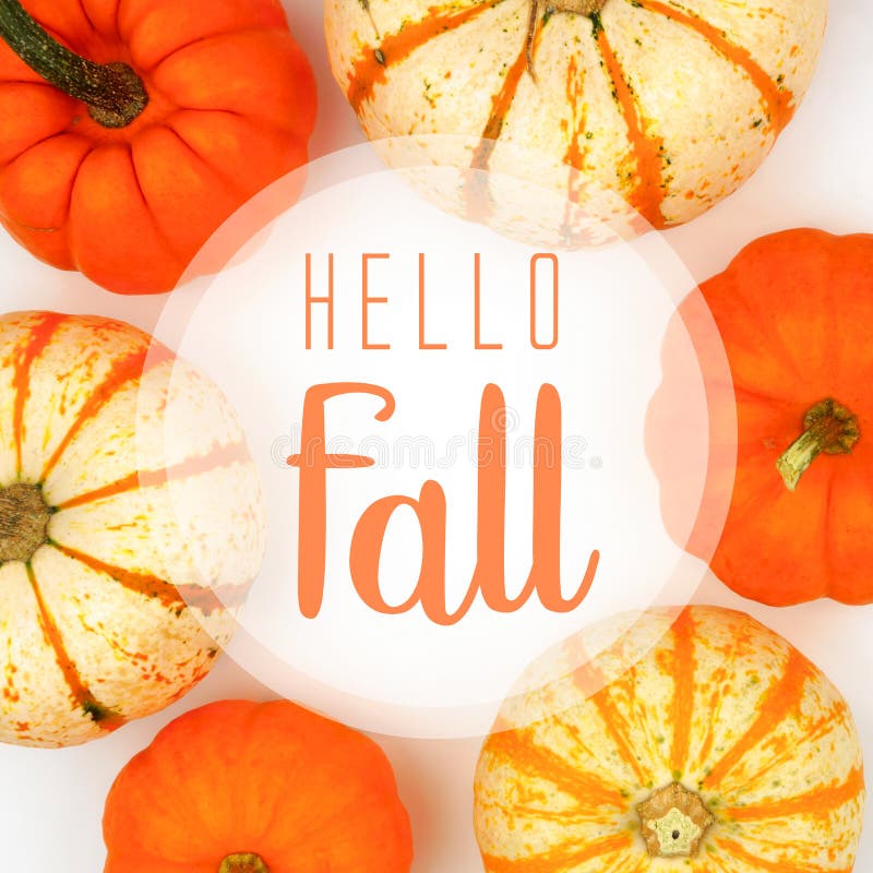 Hello Fall greeting card with frame of pumpkins over white