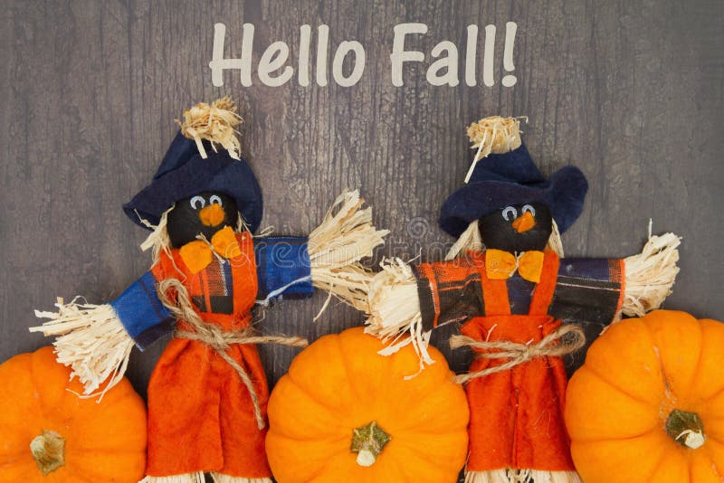 Hello Fall message with orange pumpkins with fall scarecrows stock photos