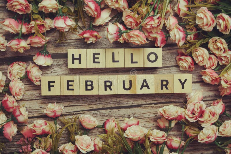 Hello February Alphabet Letters With Pink Flower Decoration On Purple