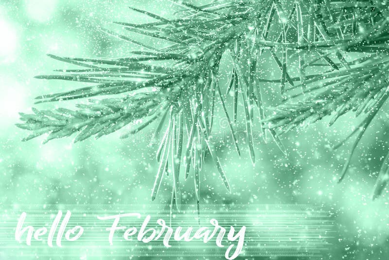 HELLO FEBRUARY Grußkarte Winterurlaubskonzept