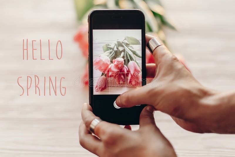 Hello-het teken van de de lentetekst, de telefoon die van de handholding foto van naalden nemen royalty-vrije stock afbeelding Hello-het teken van de de lentetekst, de telefoon die van de handholding foto van naalden nemen royalty-vrije stock afbeelding