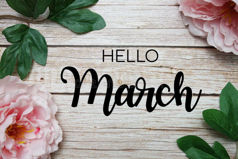 Hello March Typography Text with Peony Flowers on Wooden Background Stock  Image - Image of border, easter: 226482271