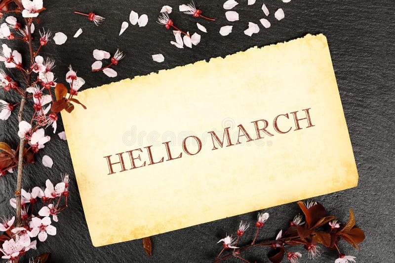 Hello march written on aged paper with almond tree twig on stone texture. Hello march written on aged paper with almond tree twig on stone texture