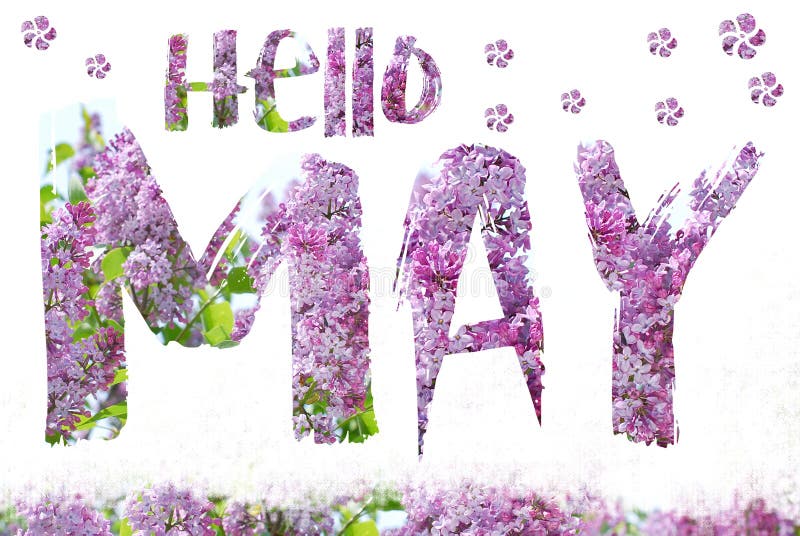 Hello May background