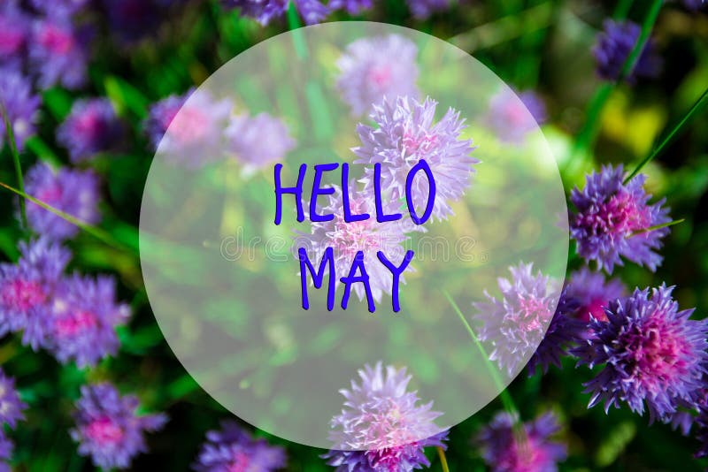 Hello May, message with Beautiful nature scene