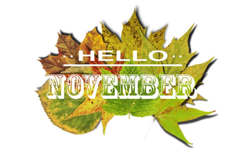 Hello November And Autumn Background With Colored Leaves Isolate Stock
