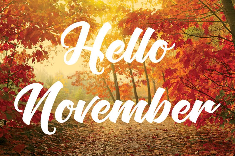 Image result for hello november"