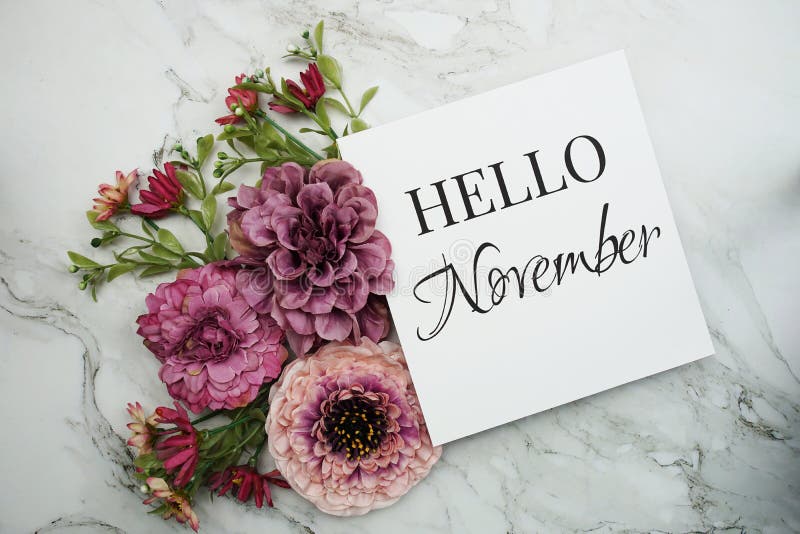 Hello November Text with Pink Flower Bouquet on Marble Background Stock