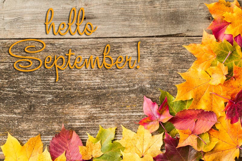 Hello September lettering card. Concept of the fall season