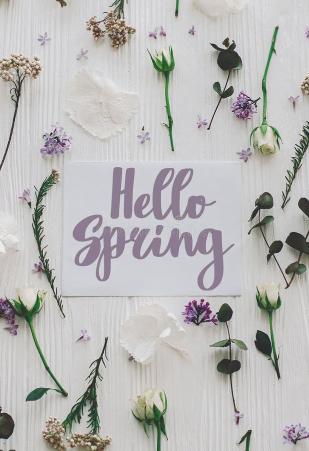 Hello spring floral greeting card, handwritten greetings on white paper card and lilac, roses and eucalyptus branches and flowers stock images Hello spring floral greeting card, handwritten greetings on white paper card and lilac, roses and eucalyptus branches and flowers stock images