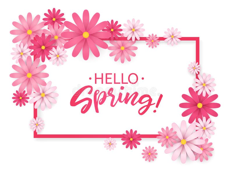 Hello Spring.Hand lettering with pink flowers frame.Paper chamomile on white background. Vector illustration.