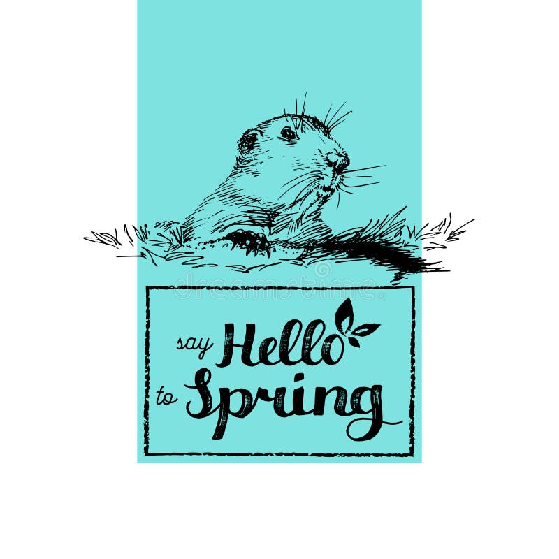 Hello Spring hand lettering. Vector Groundhog Day sketched illustration February 2 greeting card, poster etc. stock illustration