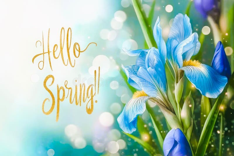 Hello spring text and beautiful iris flowers royalty free stock photos