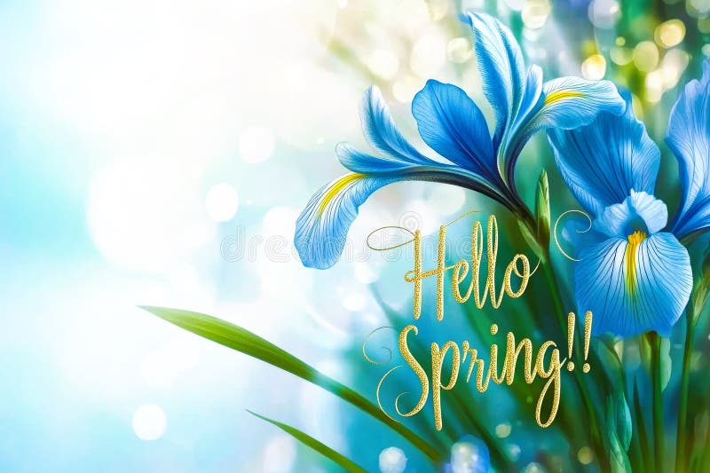 Hello spring text and beautiful iris flowers stock images