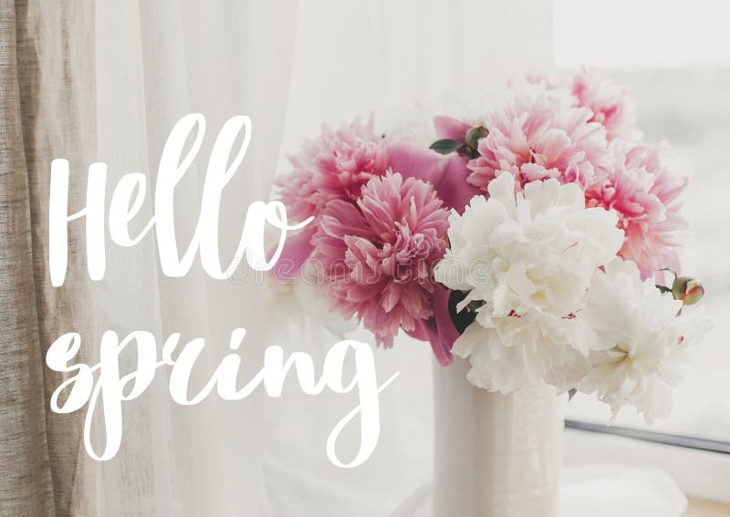 Hello Spring Text Handwritten on Lovely Peony Bouquet in Sunny Light on ...