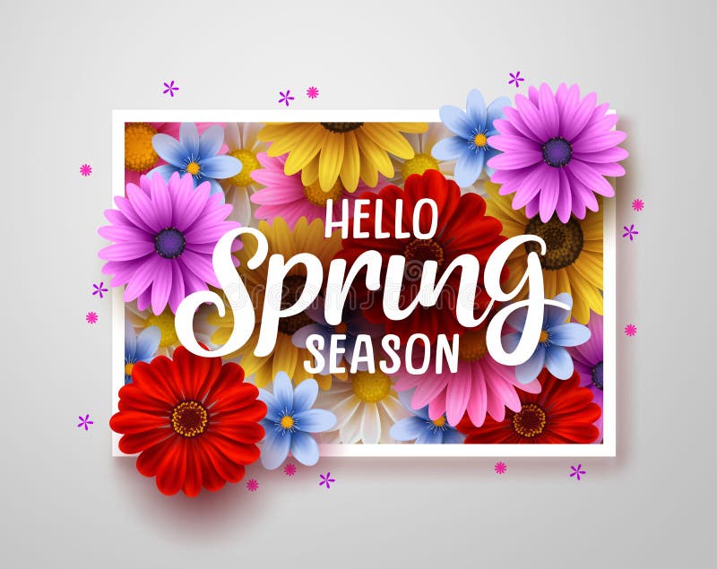 Hello Spring Vector Greeting Design. Hello Spring Season Text with