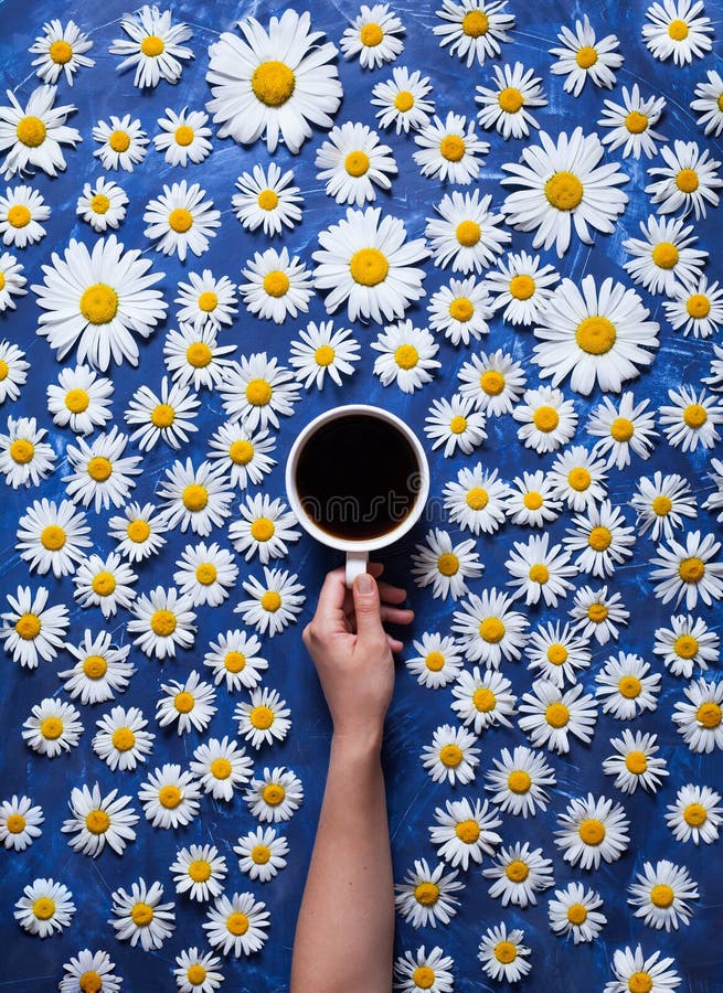 Hello summer. A cup of coffee in a woman`s hand on a blue background with chamomile or daisies. The concept of the