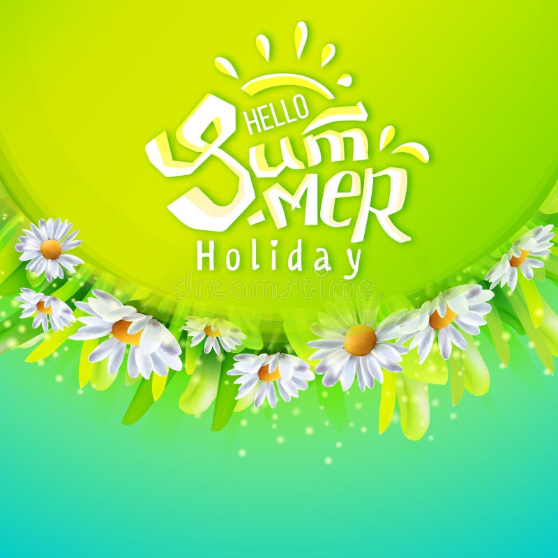 Summer Banner With Chamomiles Stock Vector - Illustration of daisy ...