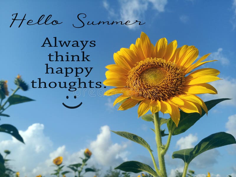 Hello Summer. Always think happy thoughts. Summer inspirational quotes, positive motivational quote with smiling sunflower blossom