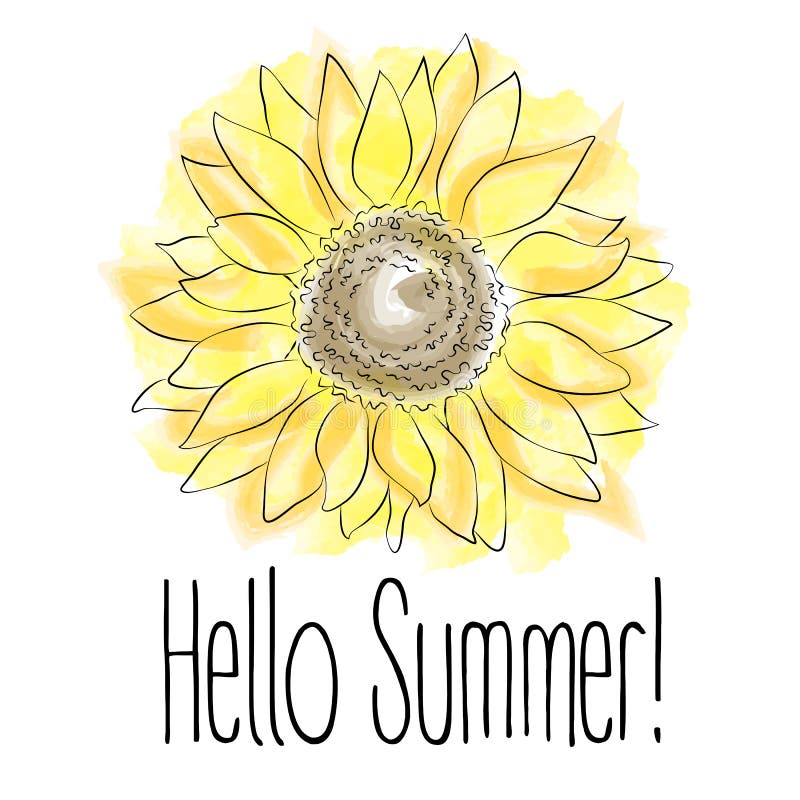 Hello Summer! Yellow Sunflower Vector illustration on white background