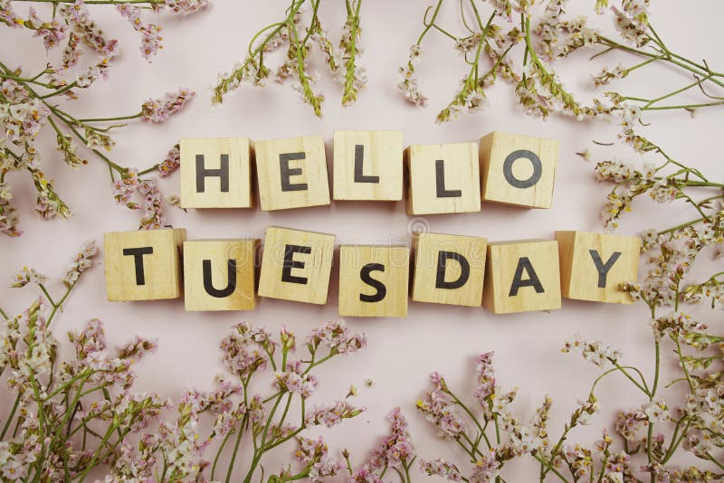 382 Hello Tuesday Stock Photos - Free & Royalty-Free Stock Photos from ...