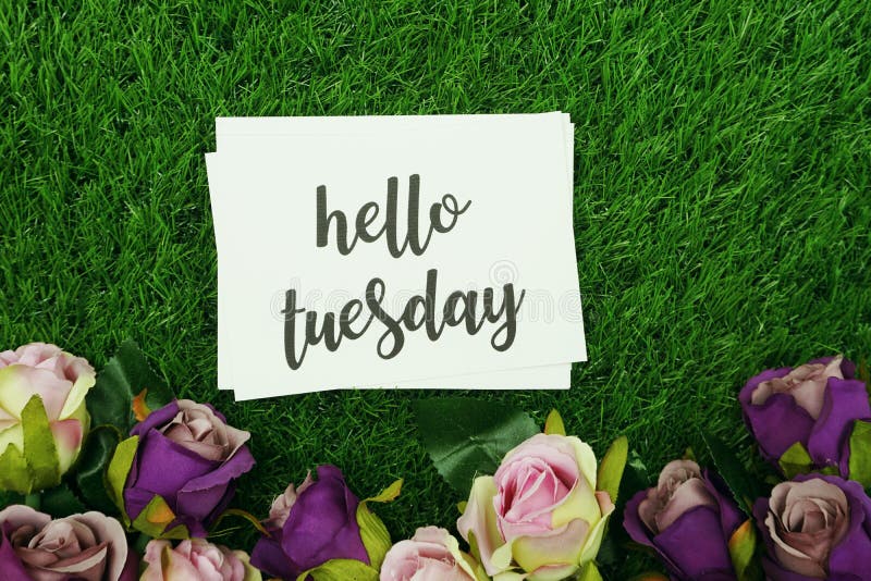 383 Hello Tuesday Stock Photos - Free & Royalty-Free Stock Photos from  Dreamstime