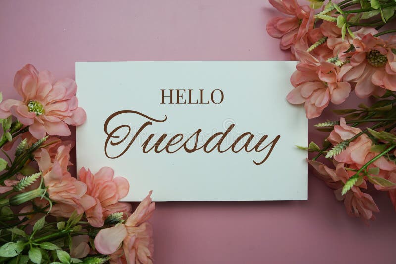 Hello Tuesday Typography Text with Flowers on Pink Background Stock ...