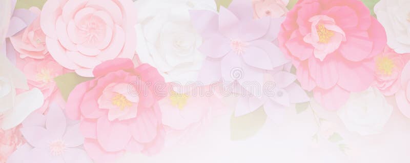 Hellrosa Blumen in der weichen Farbe lizenzfreie stockbilder
