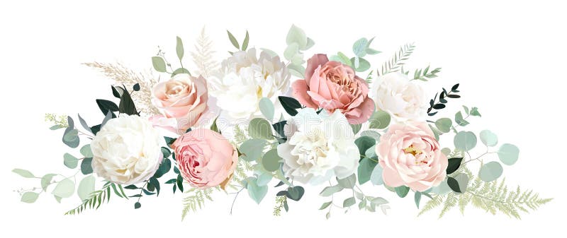 Hellrosa Kamelie Rosenblütenblütenkarnation Nackt Rosa Rainunculus eucalyptus Vektordesign vektor abbildung