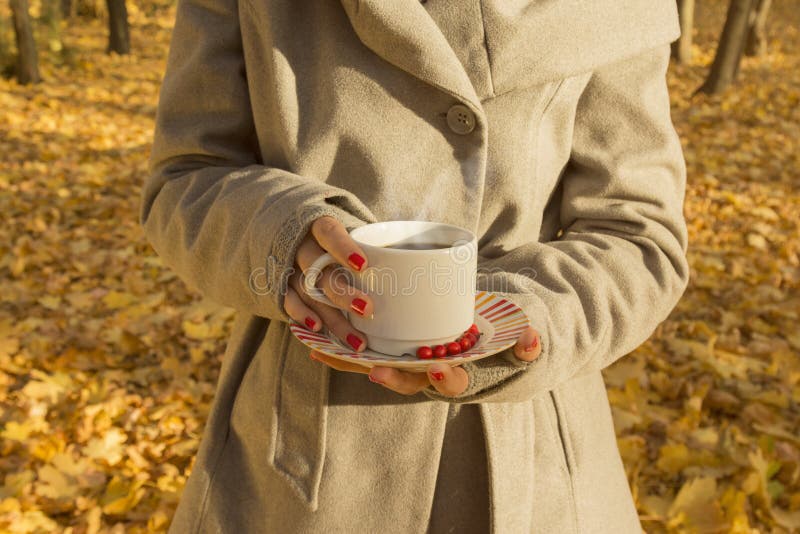 Hembra que sostiene una taza de café sólo en el bosque imagen de archivo libre de regalías Hembra que sostiene una taza de café sólo en el bosque imagen de archivo libre de regalías