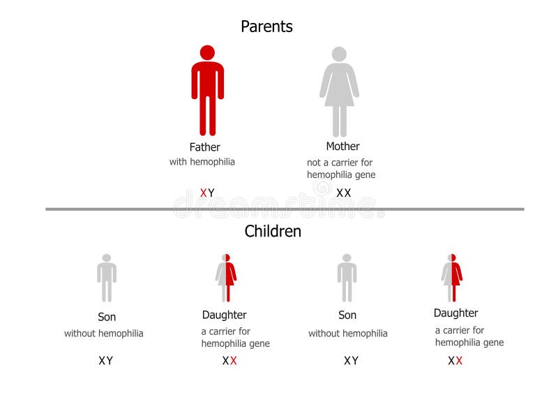 Статистика гемофилии в мире. Hemophilia Inheritance scheme. Inheritance vector. Приобретенная гемофилия