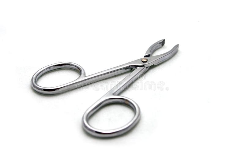 Hemostat stock photo. Image of instrument, doctors, accuracy 3993502