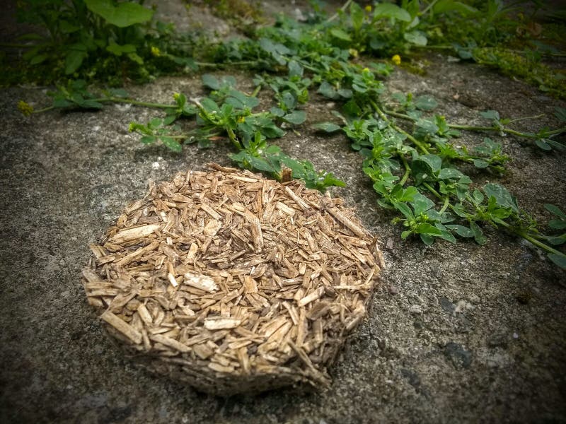 Hemp brick on cement in nature