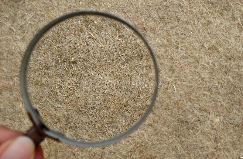 Hemp Fiber royalty free stock photography