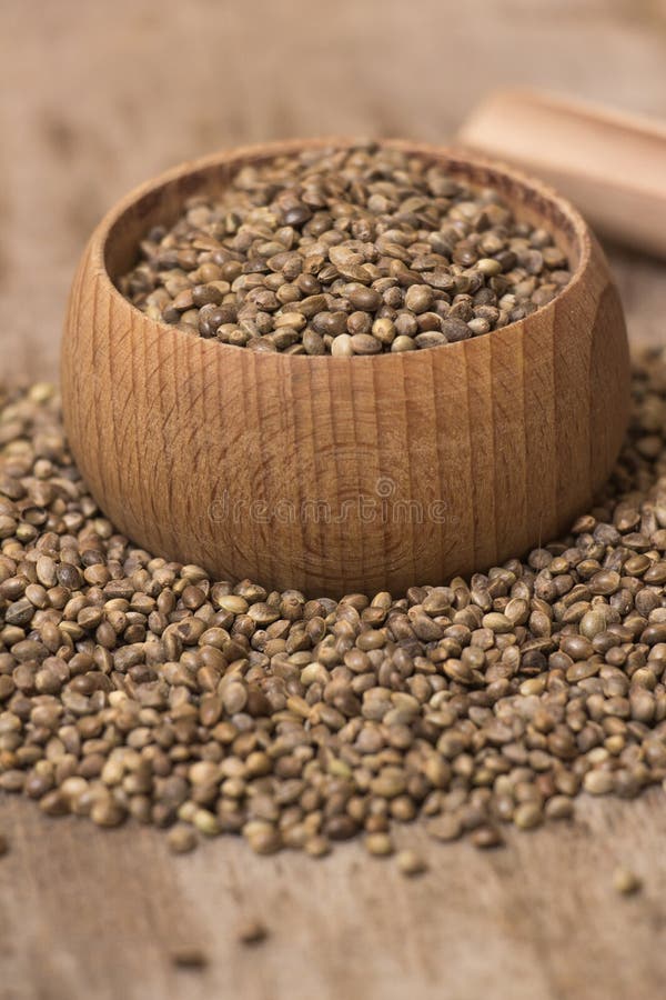 Hemp seeds stock image. Image of gourmet, farming, grass 66833103