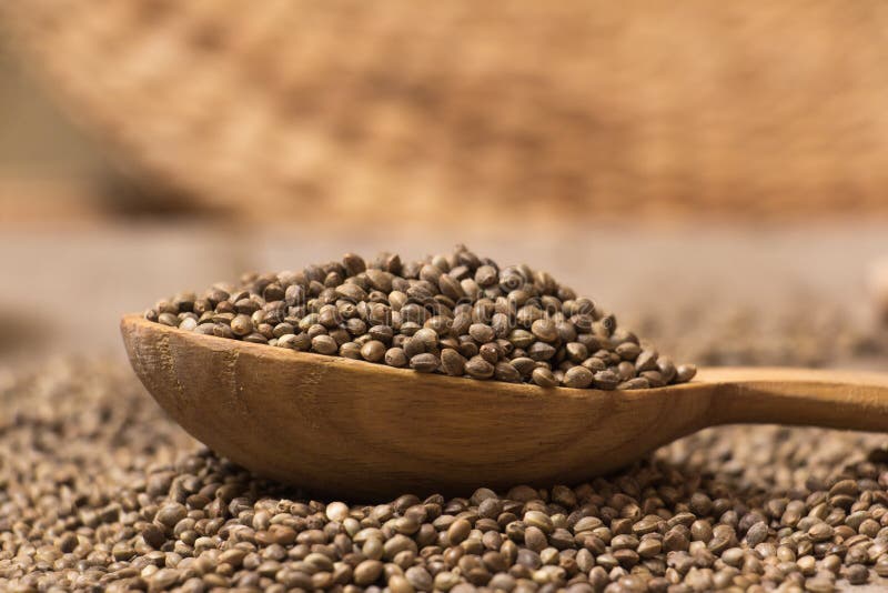 Hemp seeds stock image. Image of grain, composition, brown 66833285