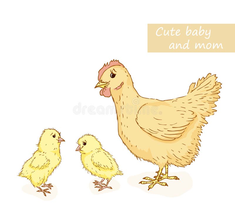 https://thumbs.dreamstime.com/b/hen-chicken-cute-animals-family-mom-baby-vector-illustration-54708672.jpg