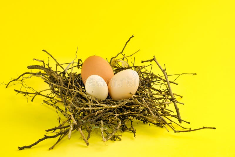 Hen Eggs in Different Color of Shell and Dimension in a Bird Nest Stock