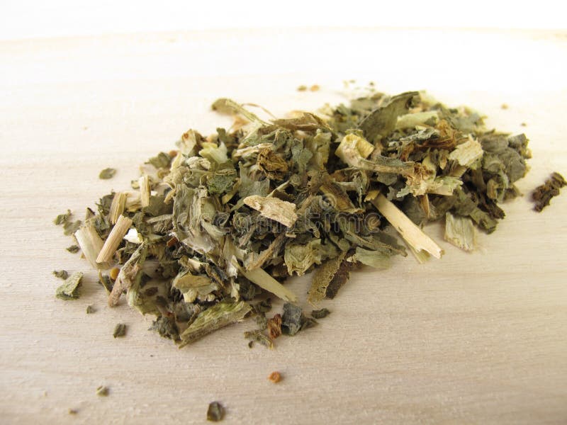 Henbane, Hyoscyami folium stock image. Image of herbal 23525041