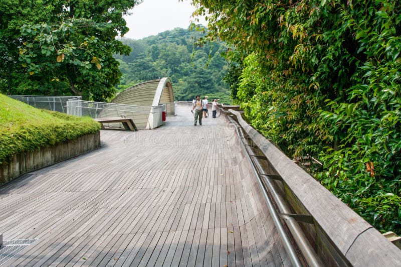 Henderson Waves is the Highest Pedestrian Bridge in Singapore ...