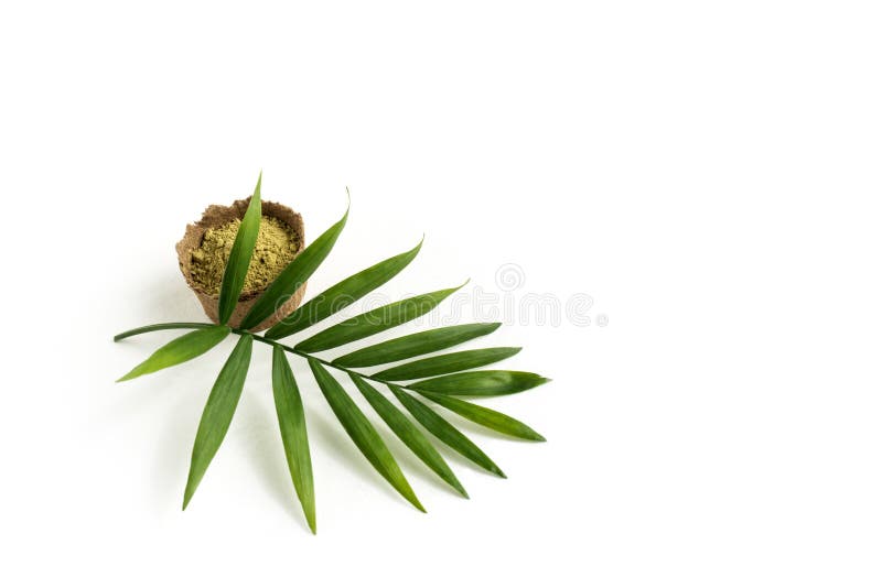 Hennapulver f?r att f?rga h?r och ?gonbryn och att dra mehendi p? h?nder, med den gr?na palmbladet royaltyfria foton Hennapulver f?r att f?rga h?r och ?gonbryn och att dra mehendi p? h?nder, med den gr?na palmbladet royaltyfria foton