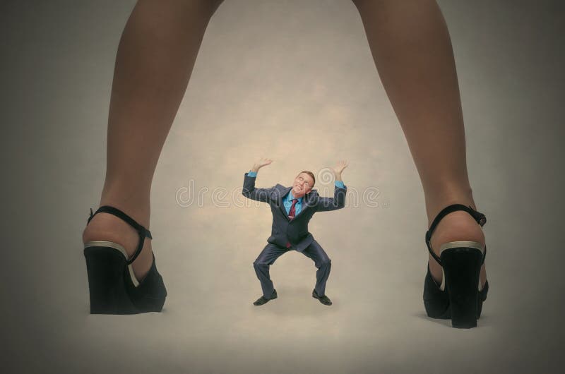 Henpecked. royalty free stock photos Henpecked. royalty free stock photos