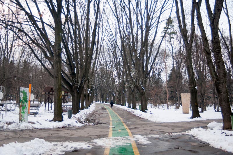 Herastrau park alley in winter stock photography Herastrau park alley in winter stock photography