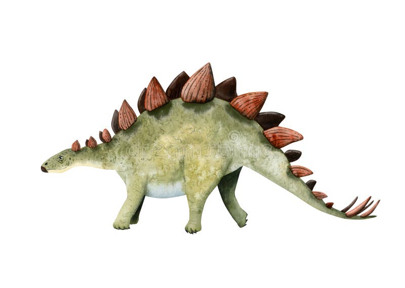 Stegosaurus Dinossauro Herbívoro Período Jurássico Era Mesozóica