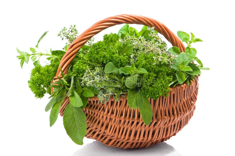 Herb Basket stock photo. Image of thyme, sage, parsley 14359108